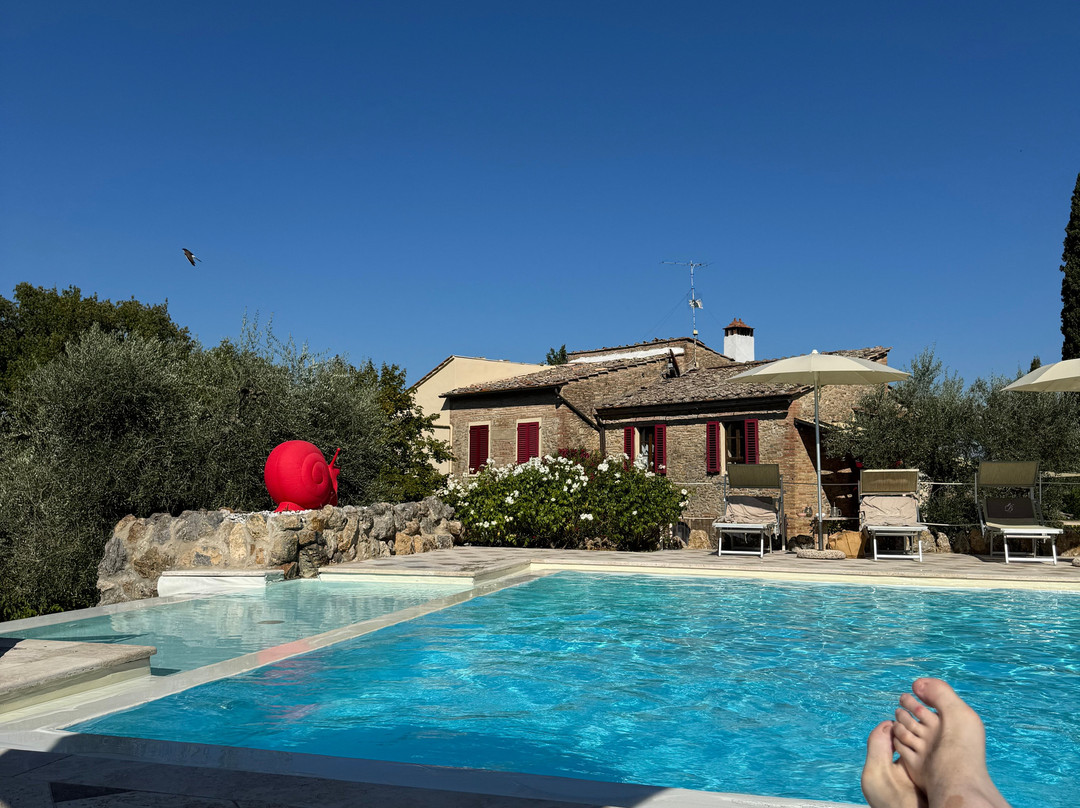 Podere Bellavista主图