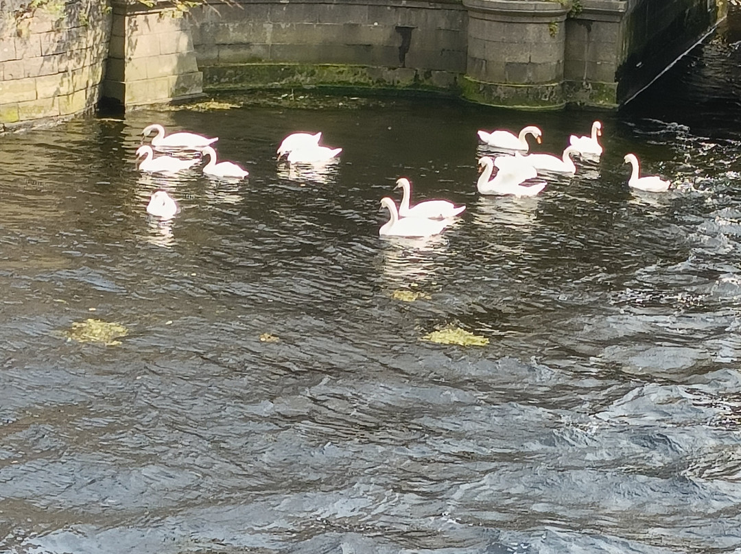 玻璃屋酒店主图