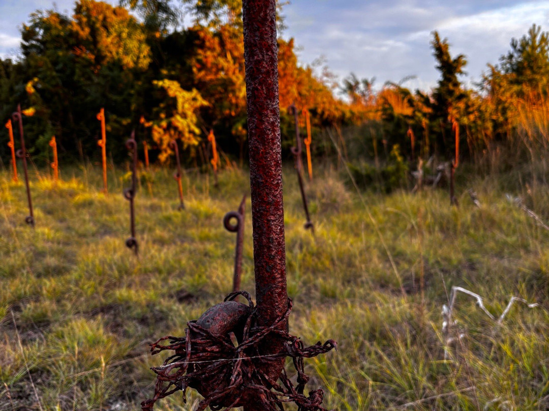 Farosunds Fastning主图