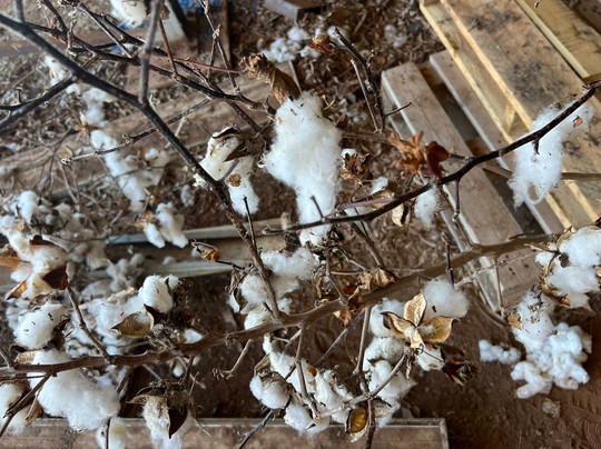 Riversands Winery-St George必去景点