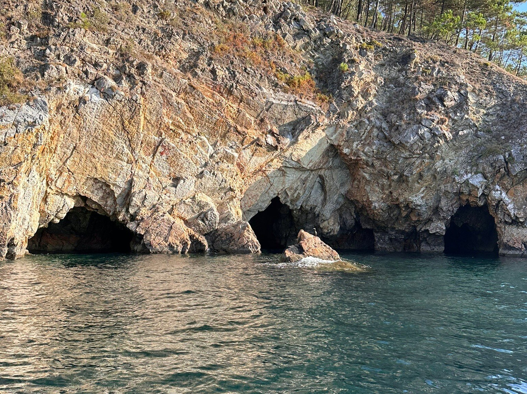 Vedettes Sirenes - Grottes Marines de Morgat-Morgat必去景点