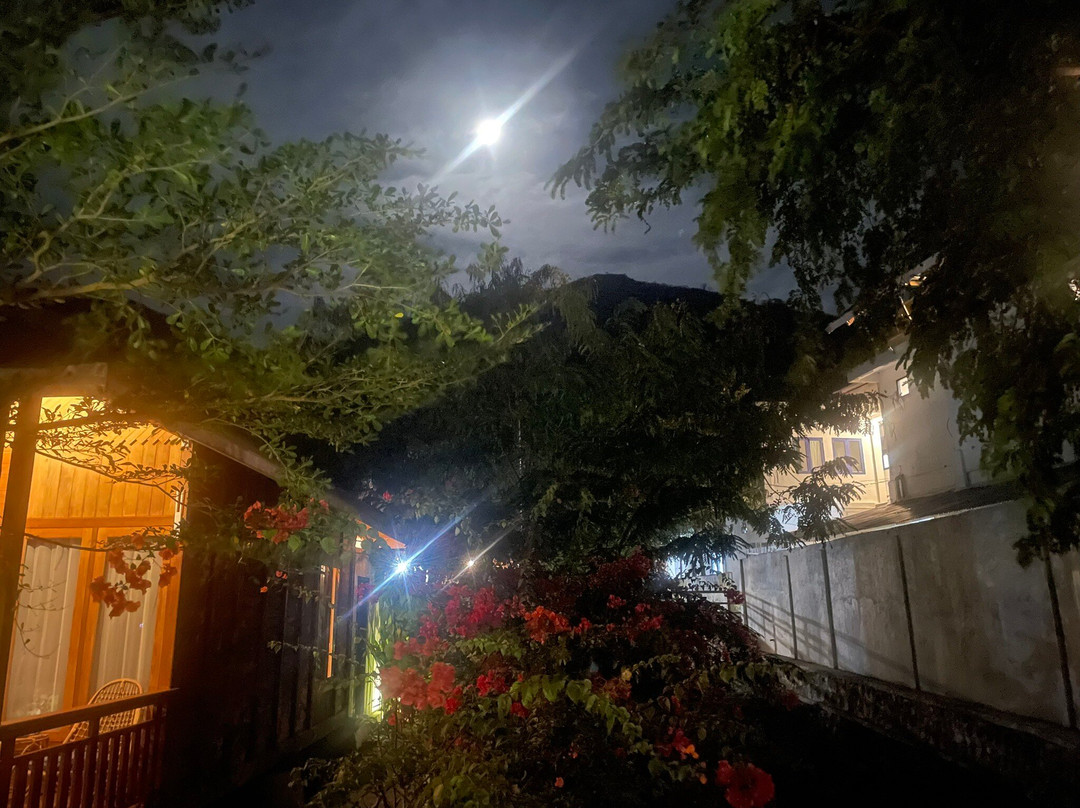 Nautika Dive Alor-Alor Island必去景点