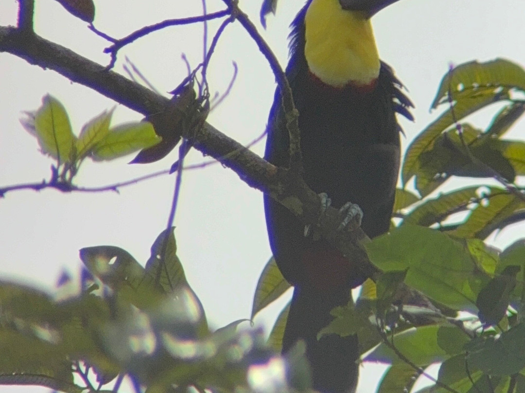 Transmila Transfers & Tours-塔马林多必去景点