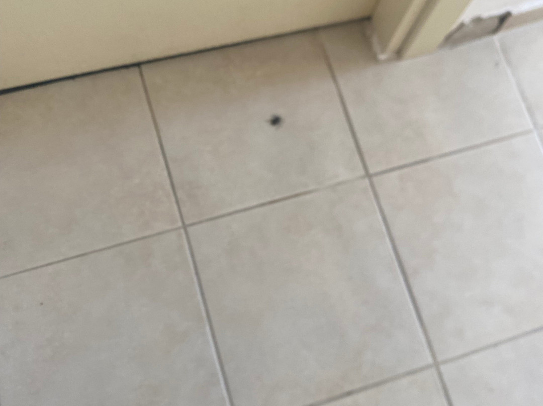 卡姆利克87号酒店艾瓦勒克主图