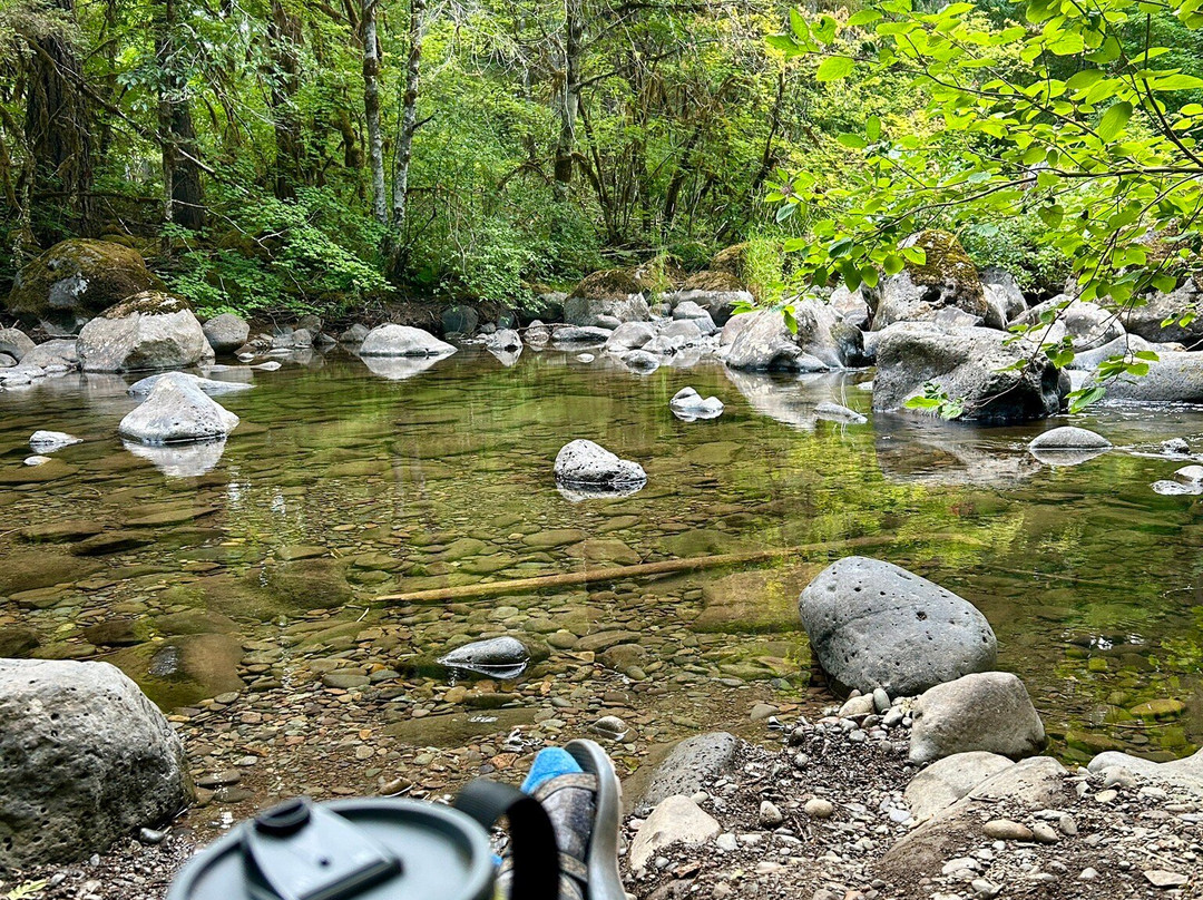 Rare Earth Adventures-波特兰必去景点