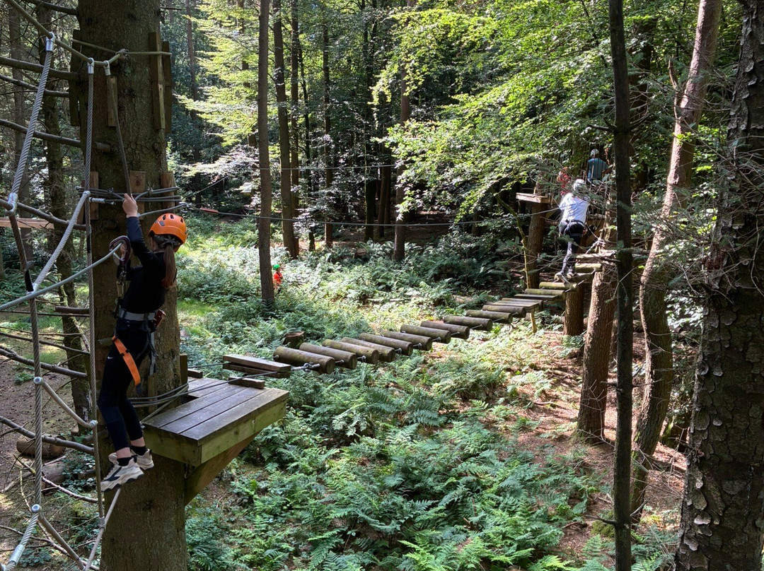 Craufurdland Tree Top Trials and Activities-Kilmarnock必去景点