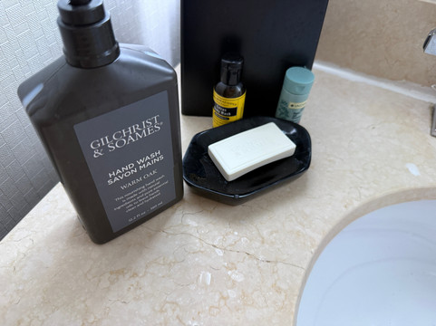 芝加哥埃尔克格罗夫喜来登套房酒店主图