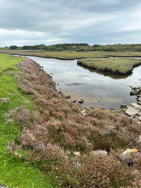 Scattery Island Tours-Kilrush必去景点