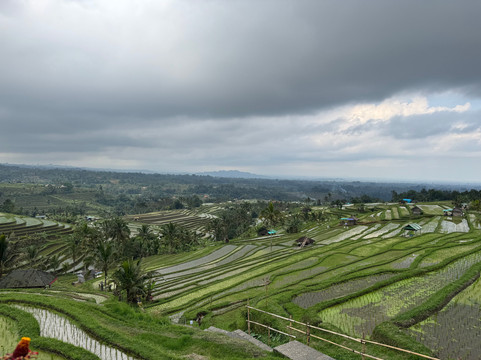TripGuru Bali-库塔必去景点