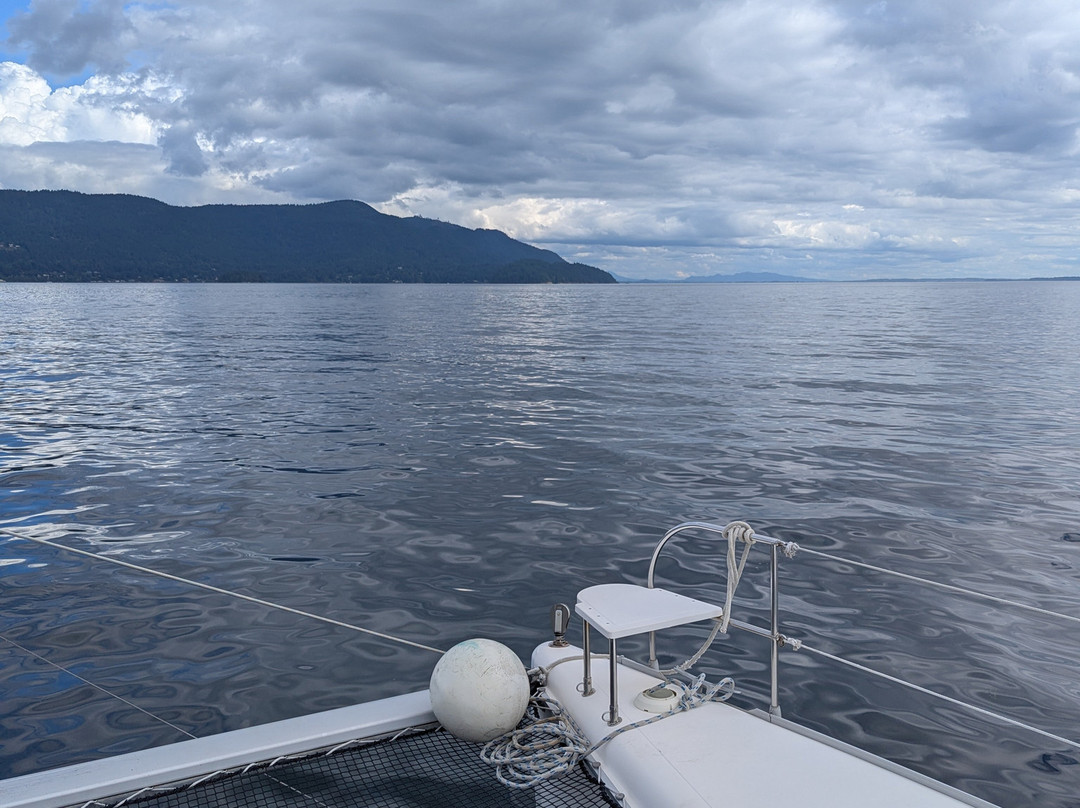 Gato Verde Adventure Sailing-贝灵厄姆必去景点