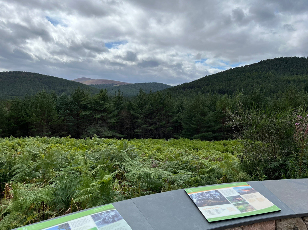 Glen Tanar National Nature Reserve-Aboyne必去景点