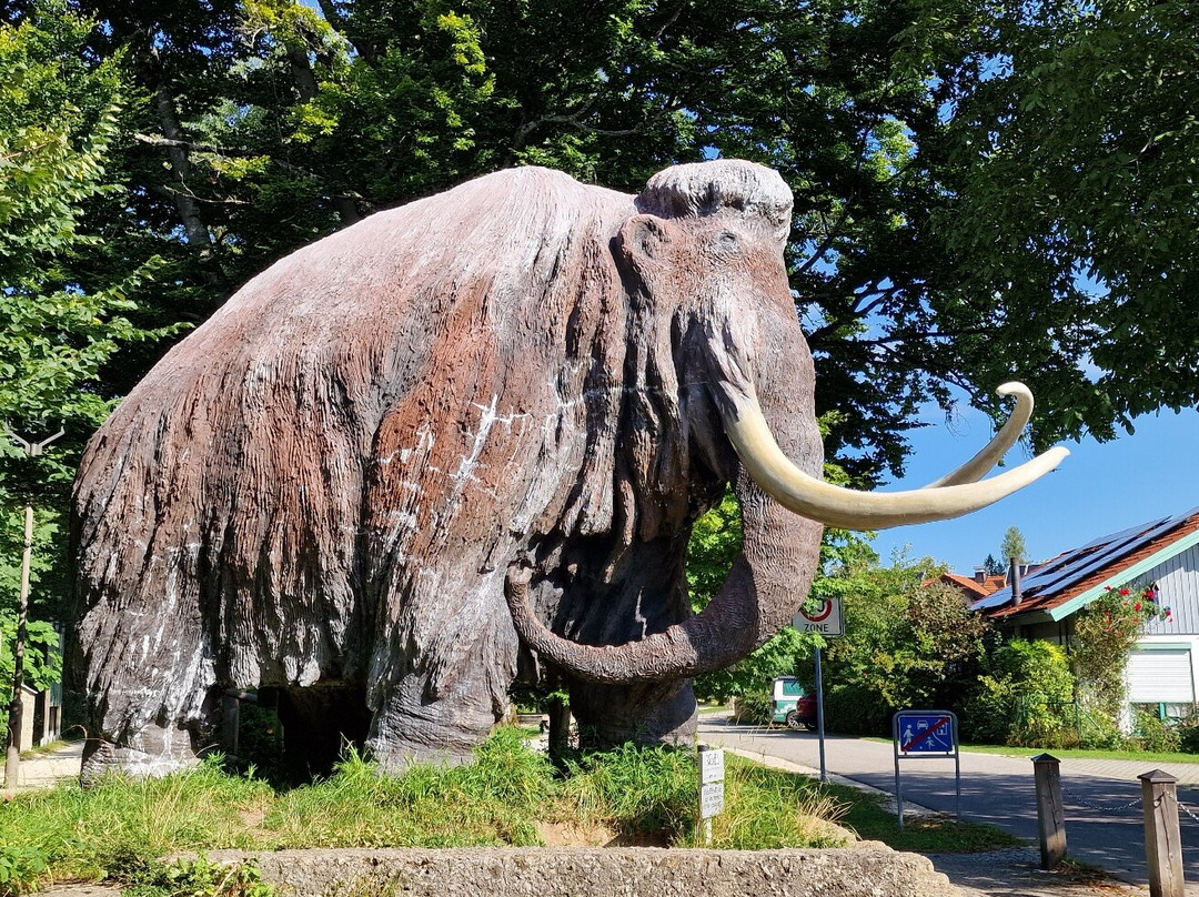 Südostbayerisches Naturkunde- und Mammut-Museum Siegsdorf-Siegsdorf必去景点
