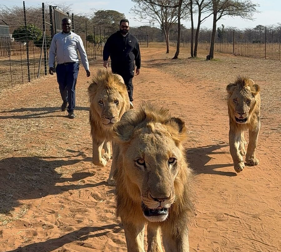 Boyang Gape Tours and Travel - Day Tours-弗维斯必去景点