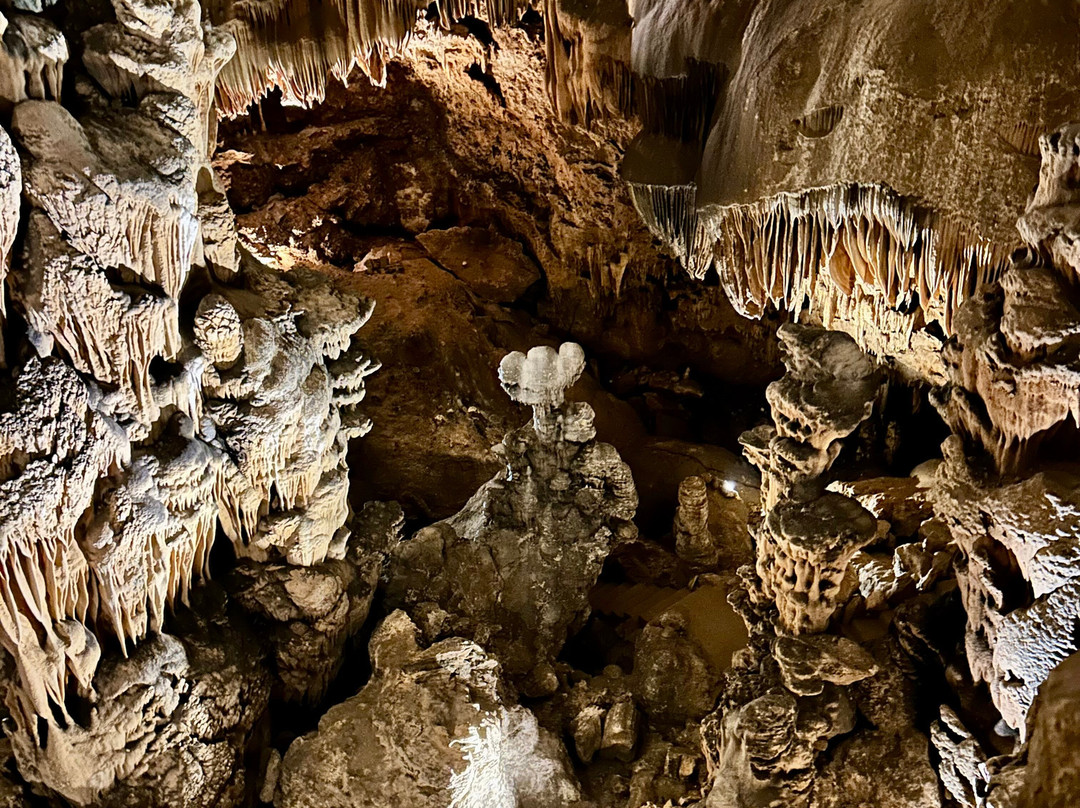 La Grotte Des Demoiselles-Saint-Bauzille-de-Putois必去景点