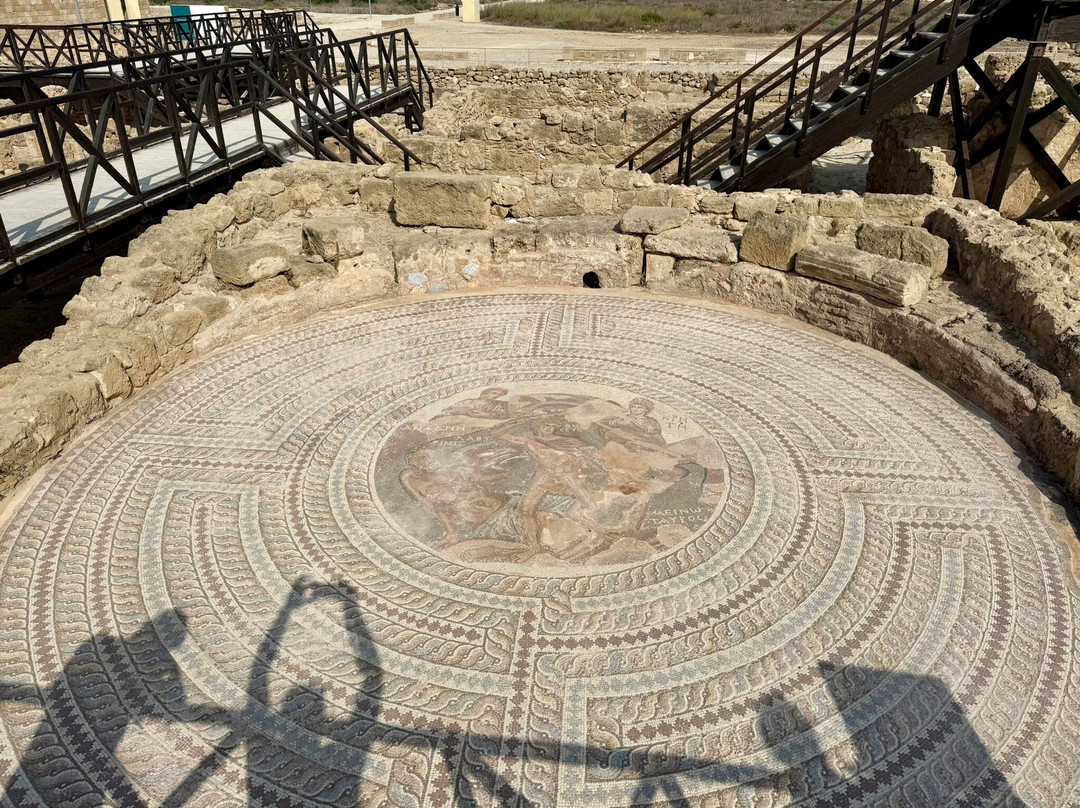 The Villa of Theseus-帕福斯必去景点