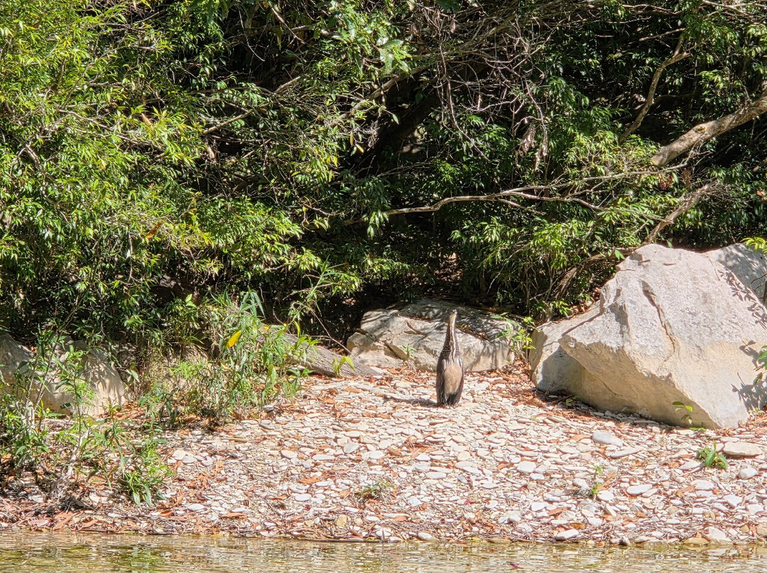 Cânion Do Rio Salobra