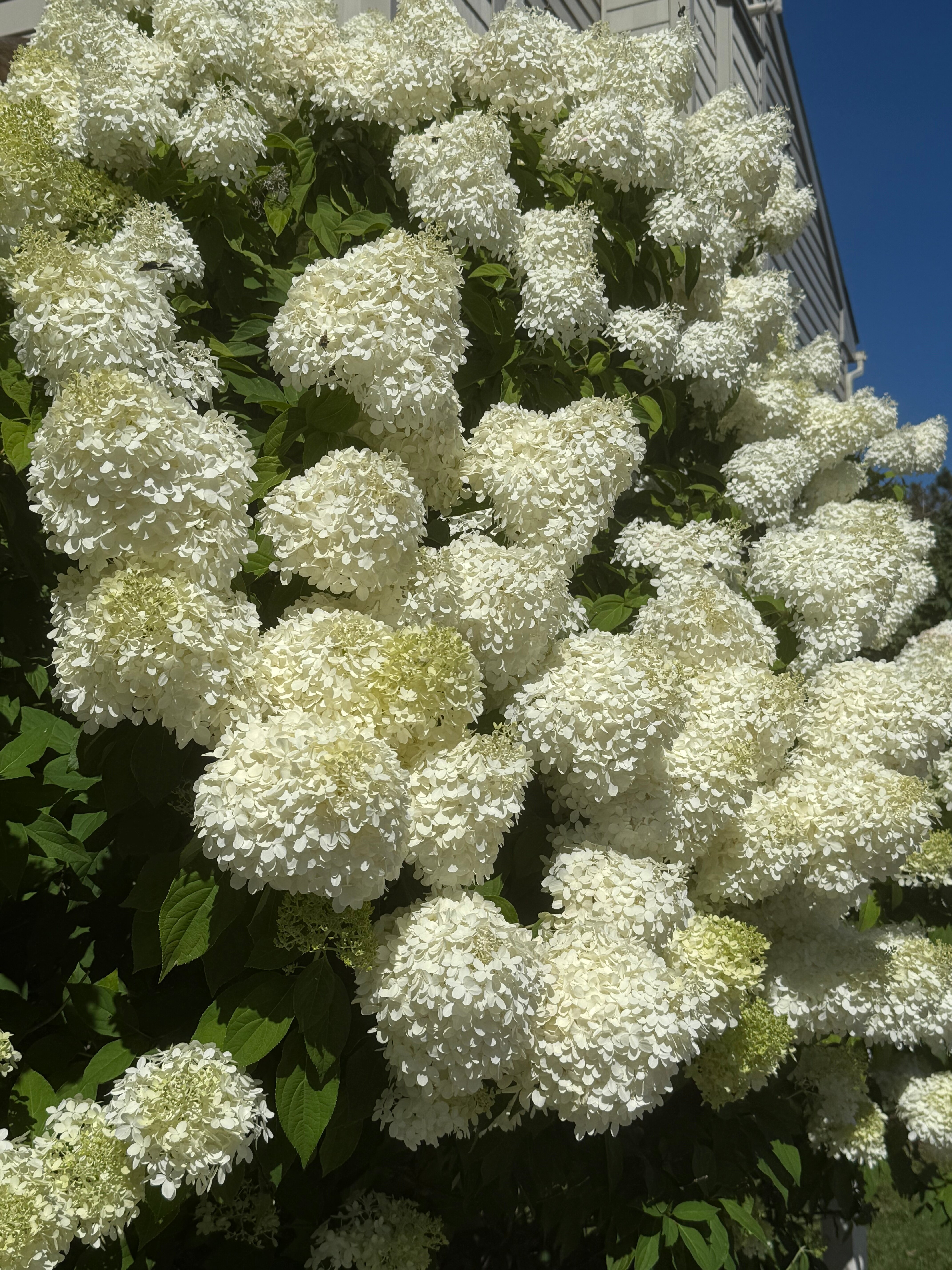 Smugglers' Notch Resort-浴室
