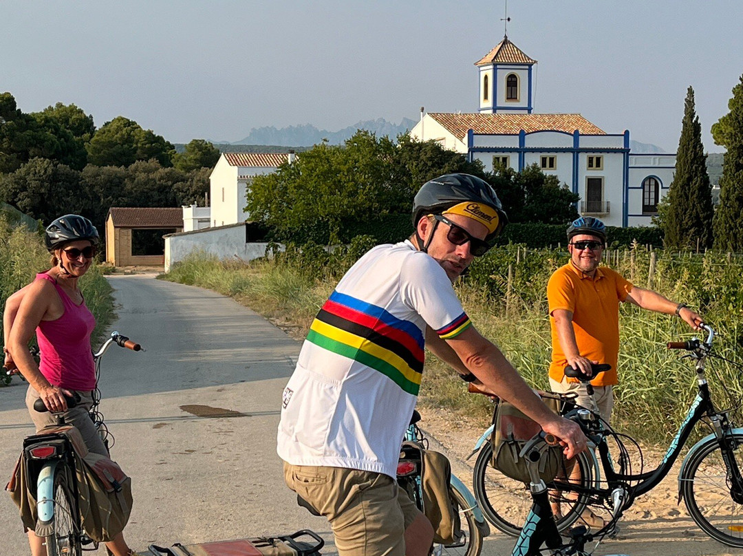 B&B Wine and Cooking Penedès主图