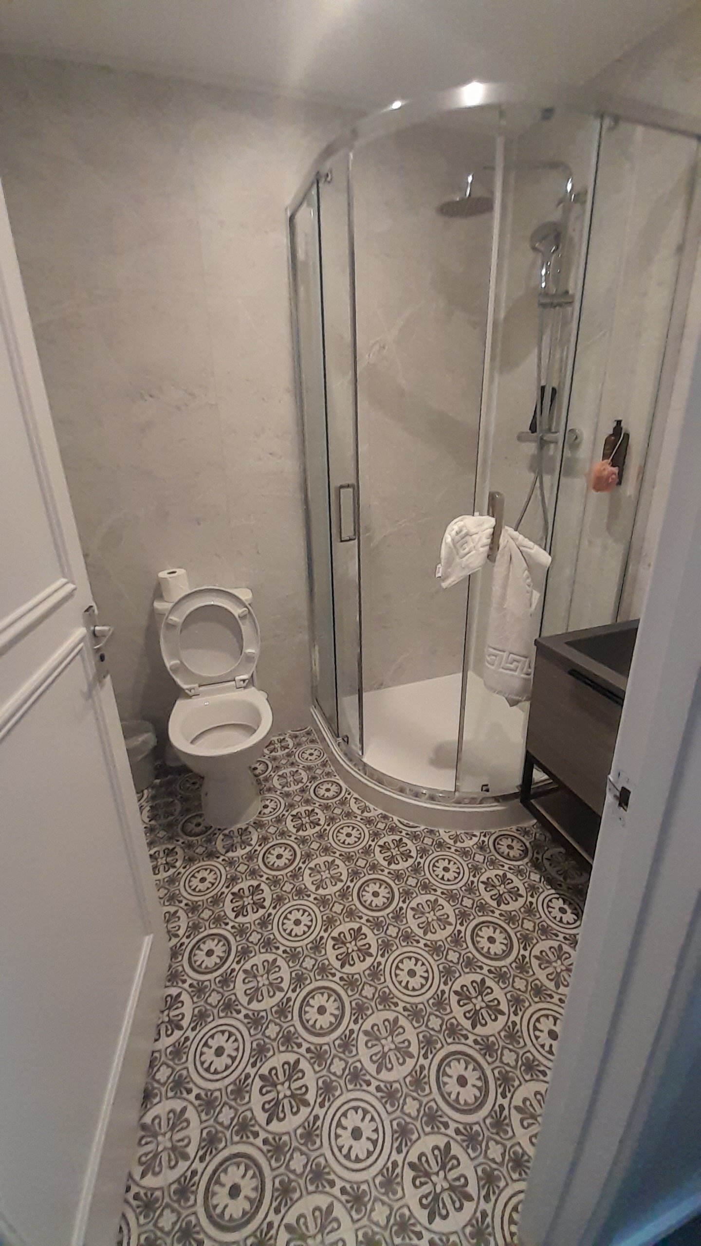 Plas Hyfryd Country Hotel-浴室