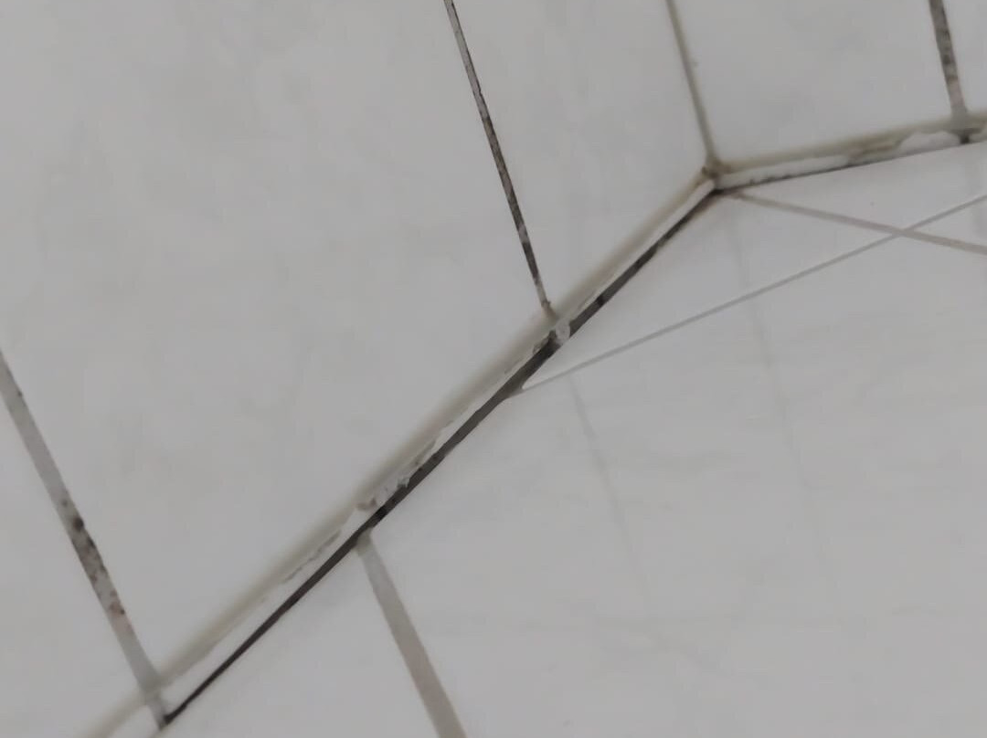 弗里茨酒店餐厅主图