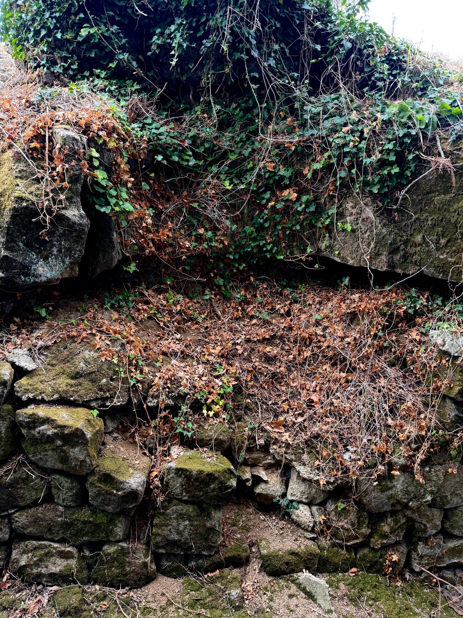 La Bastide De Sanilhac-官方