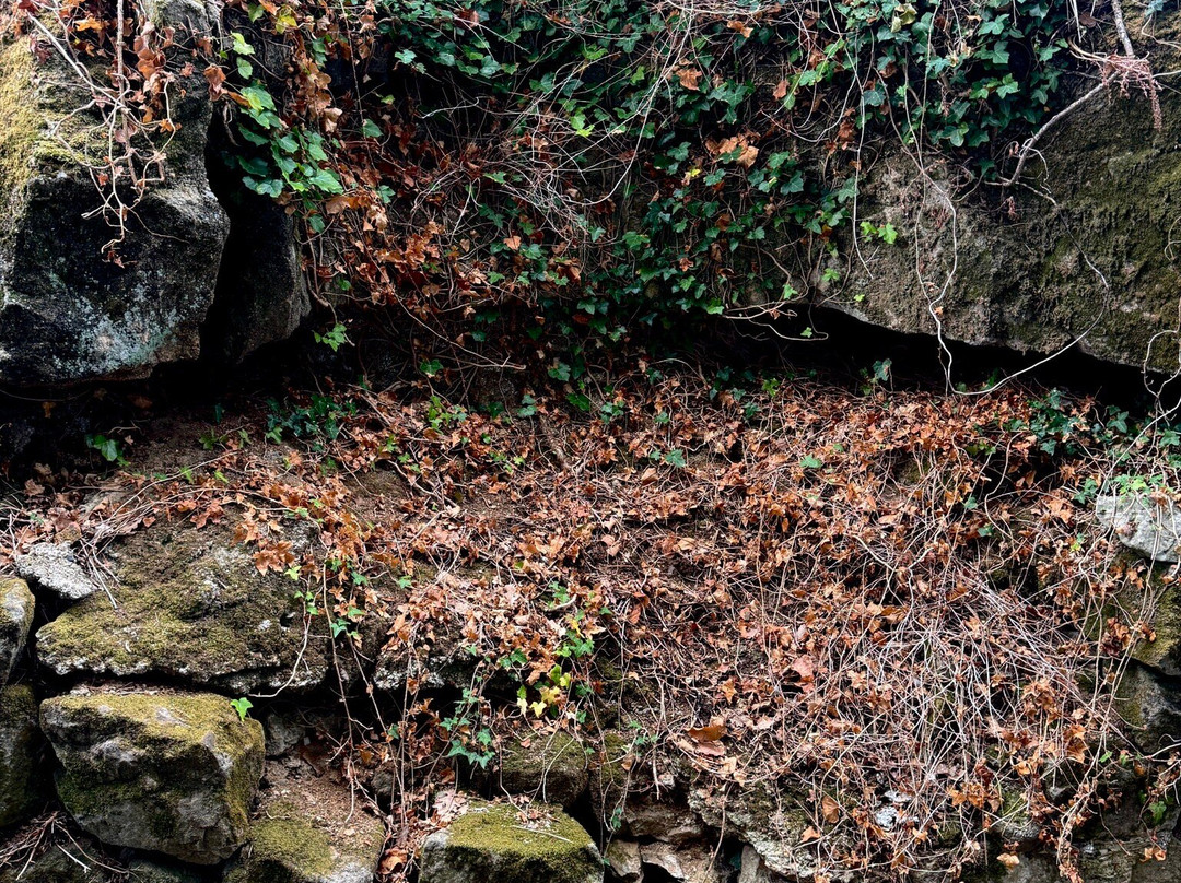 La Bastide De Sanilhac主图