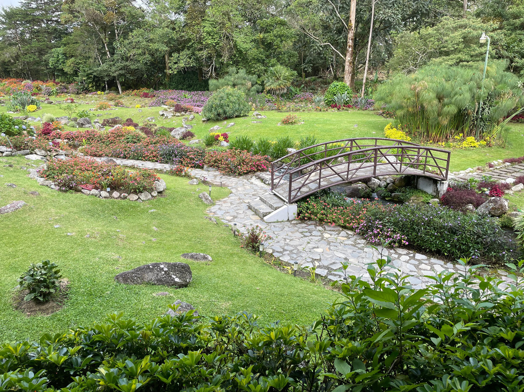 Hotel Dos Rios主图