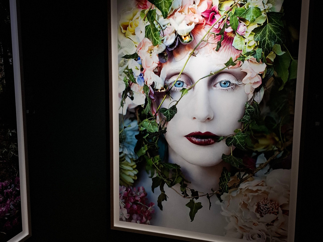 Falsterbo Photo Art Museum-Falsterbo必去景点