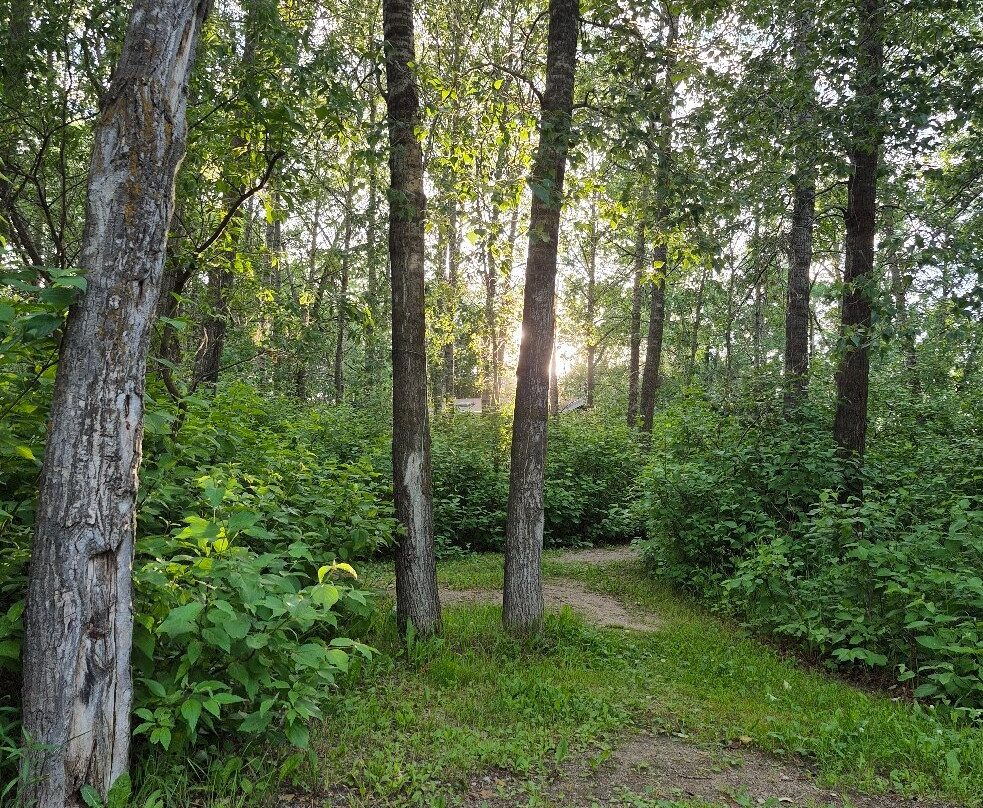 Rivers Provincial Park-Rivers必去景点