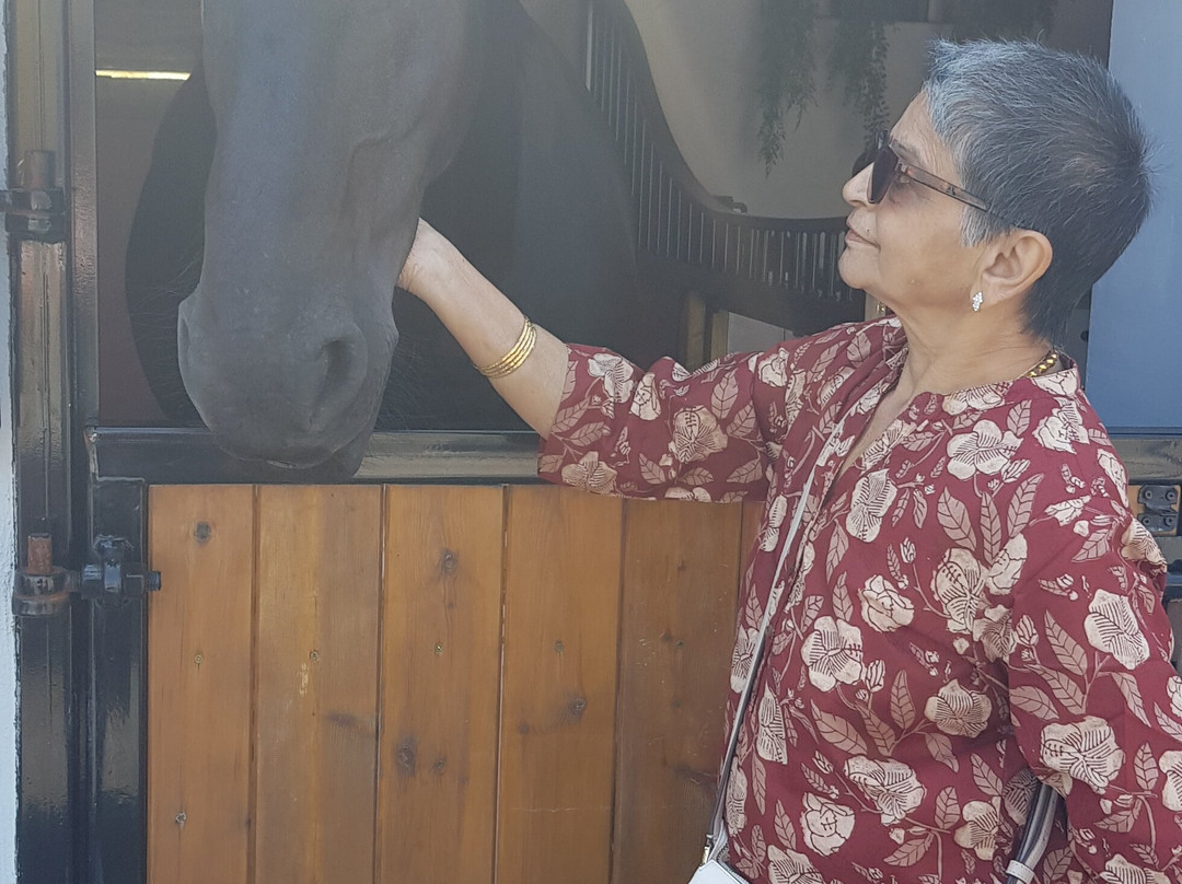 The Friesian Experience-Cartmel必去景点