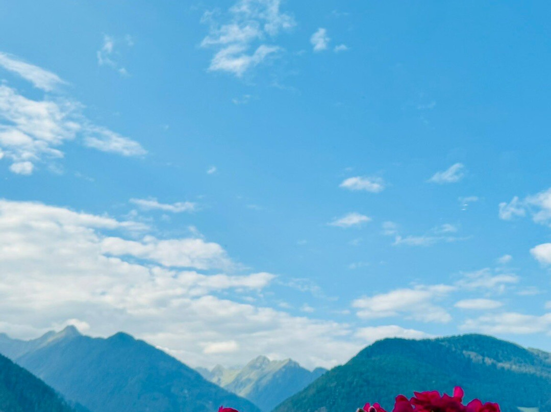 Hotel Lahnerhof主图