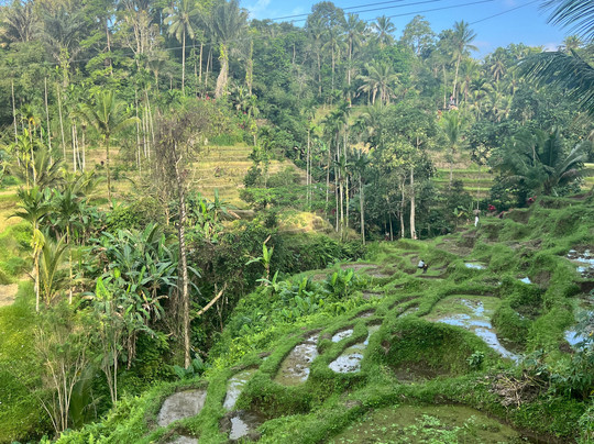 Butik Trip - Day Tours-雅加达必去景点