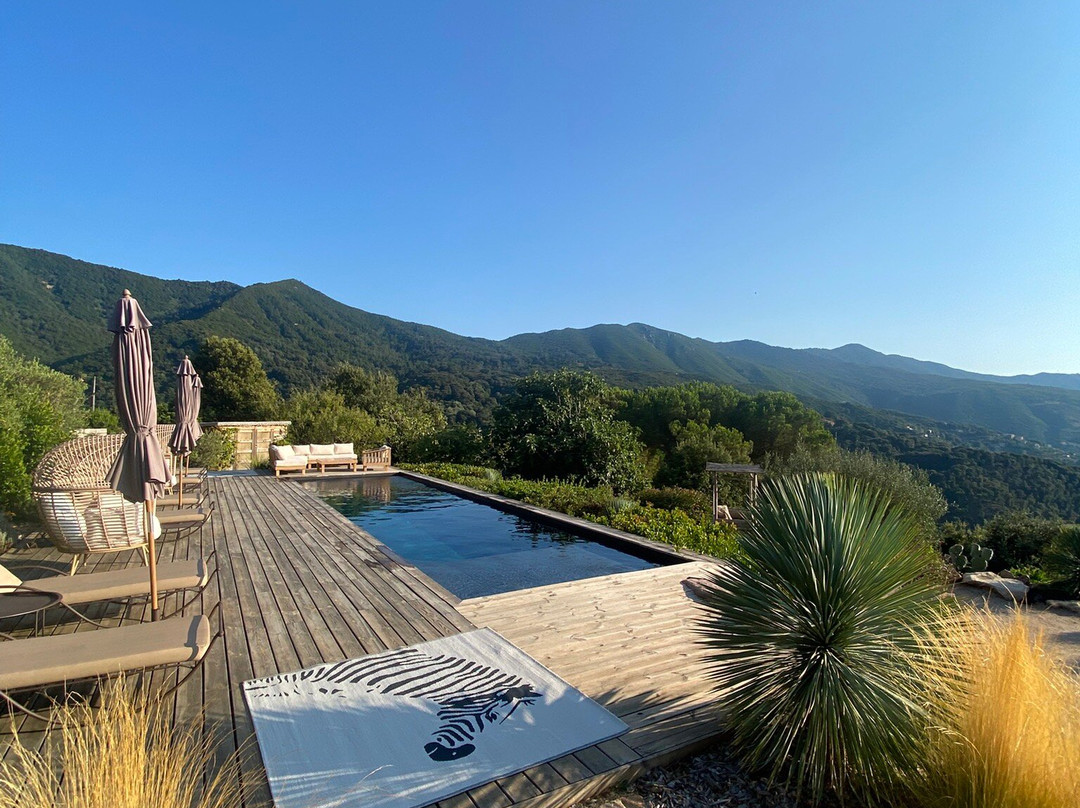 Terre de Maquis主图