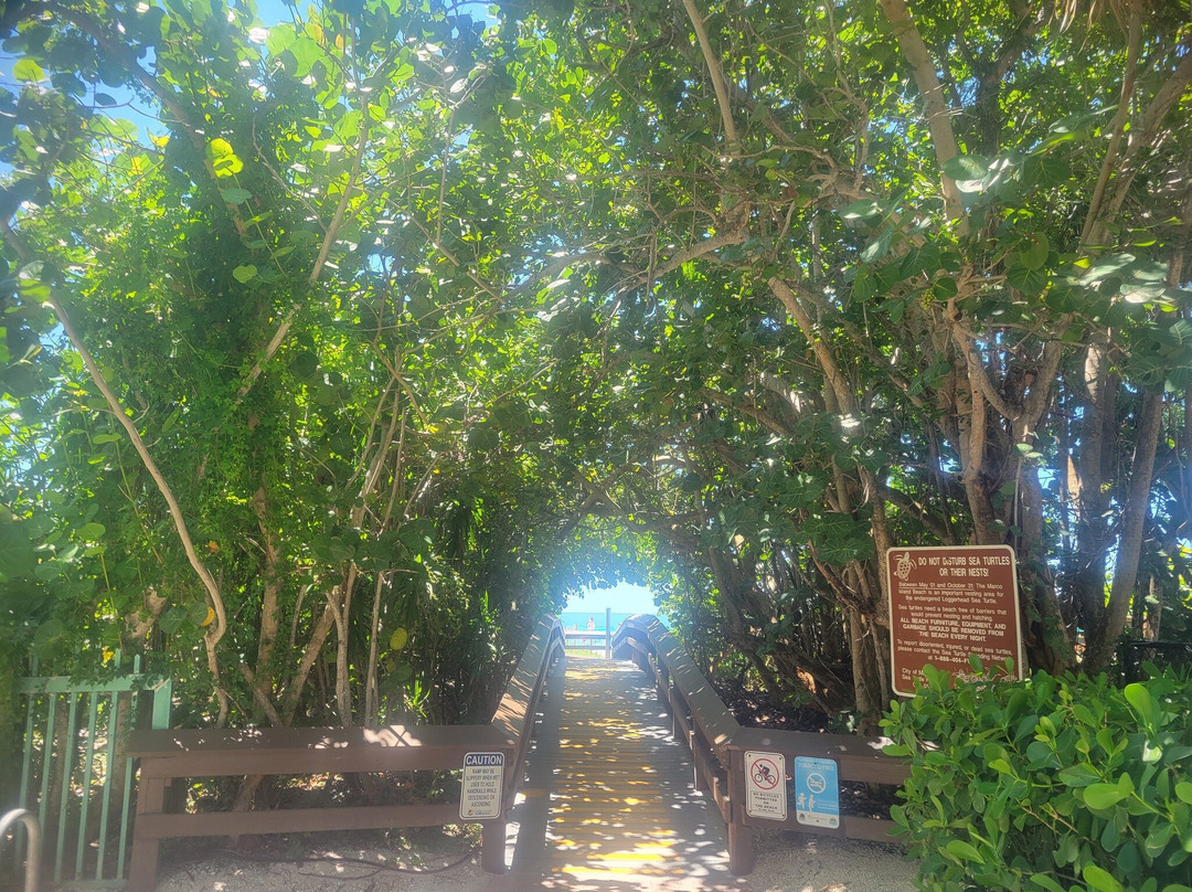 South Marco Beach-马可岛必去景点