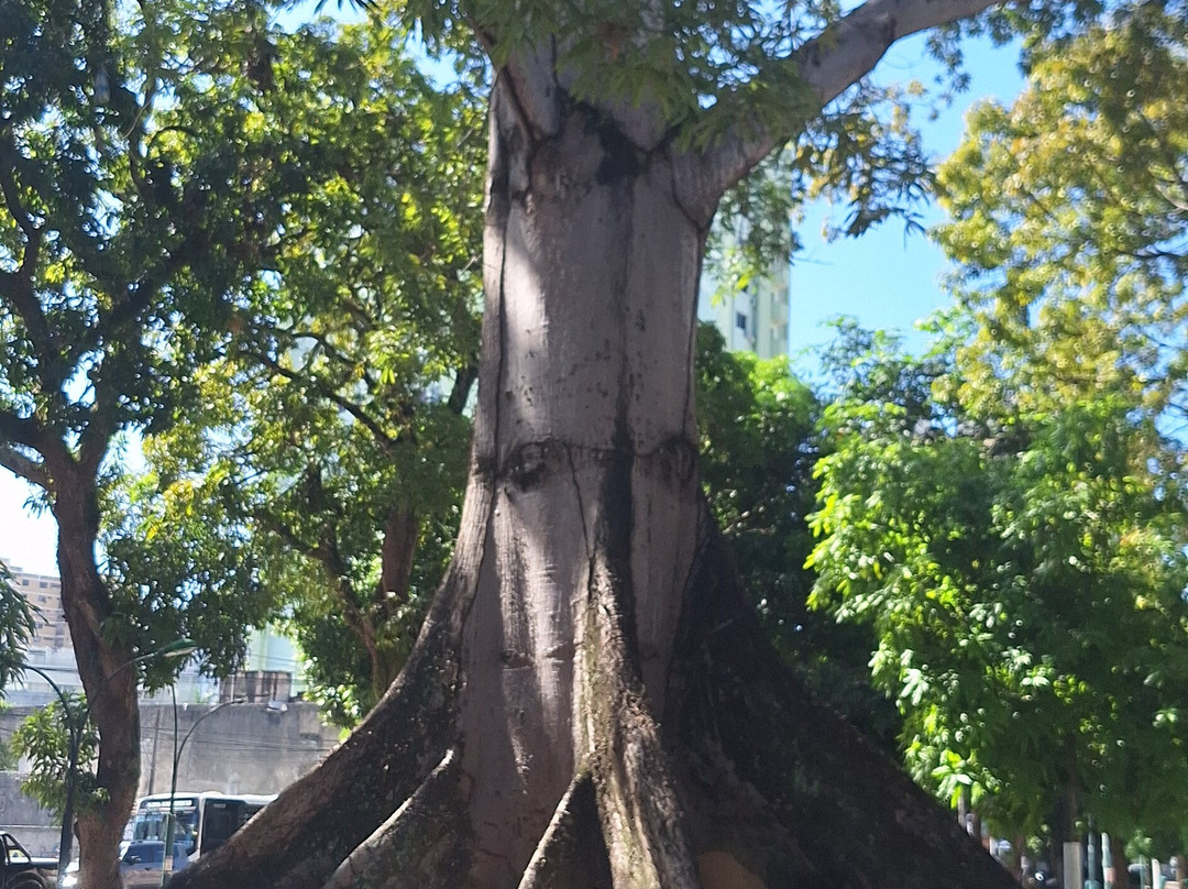 Praca da Republica-贝伦必去景点