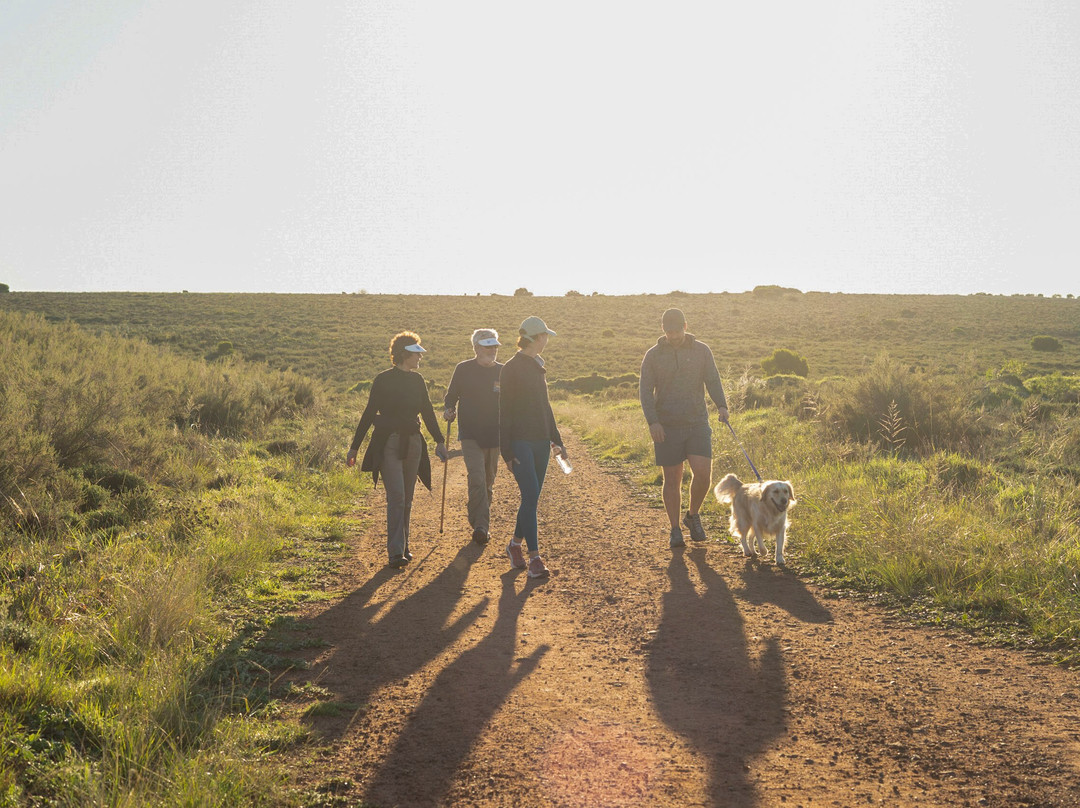 Mentors Country Estate主图