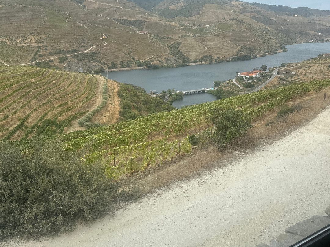 Quinta do Val Moreira-Armamar必去景点