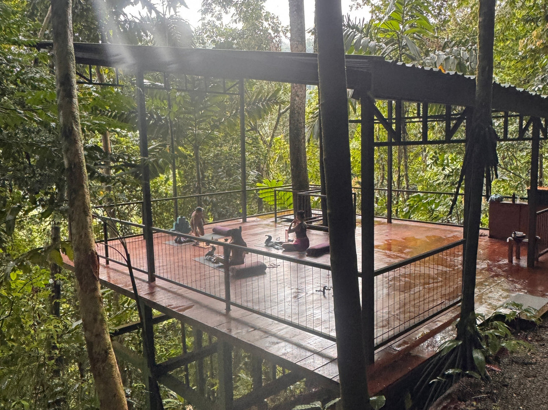 Vista Celestial主图