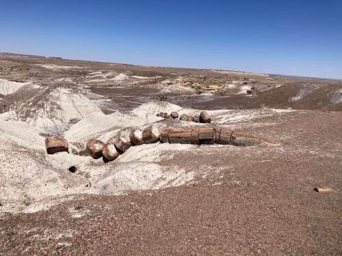 Crystal Forest Trail-石化林国家公园必去景点