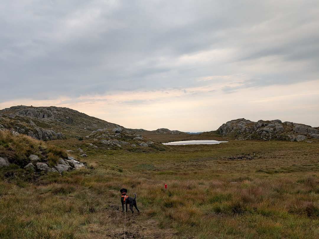 Tjaland mountains with Ulvarudla-Time Municipality必去景点