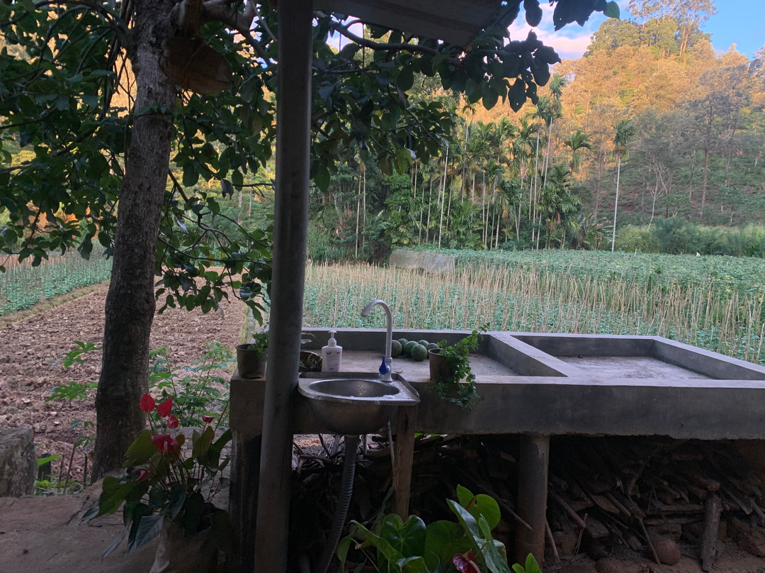 Paddy Field Viewpoint Cooking Class-埃勒必去景点
