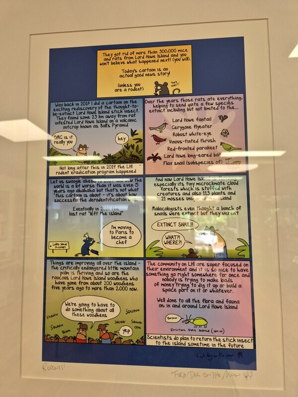 Lord Howe Island Museum-豪勋爵群岛必去景点