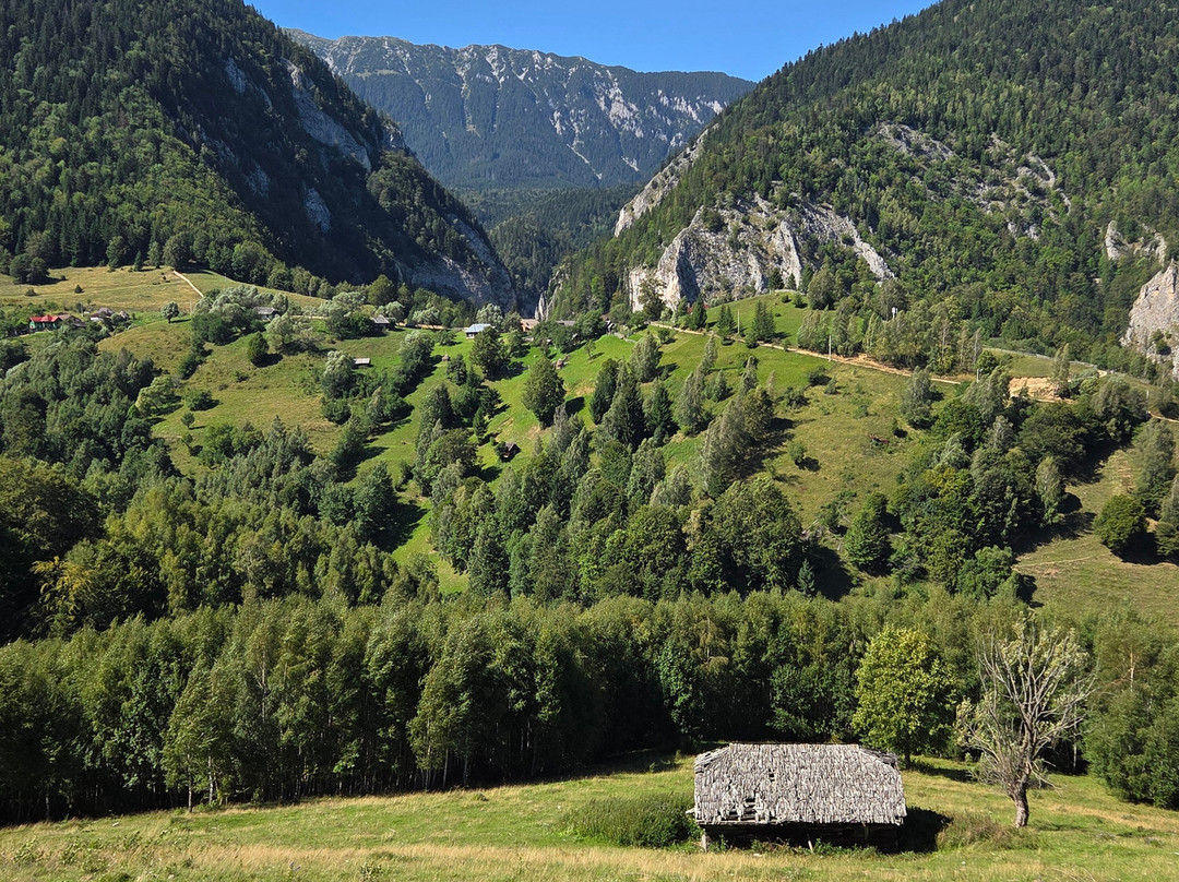 Boutique Romania Tours-布拉索夫必去景点