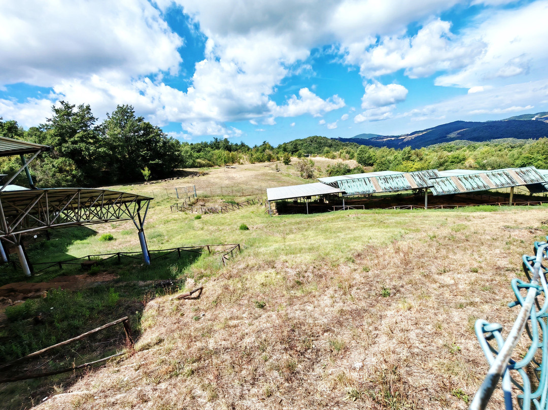 Ufficio Turistico Comunale Sasso Pisano-Sasso Pisano必去景点