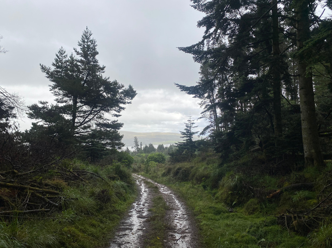 Kilfinan Community Forest-Tighnabruaich必去景点