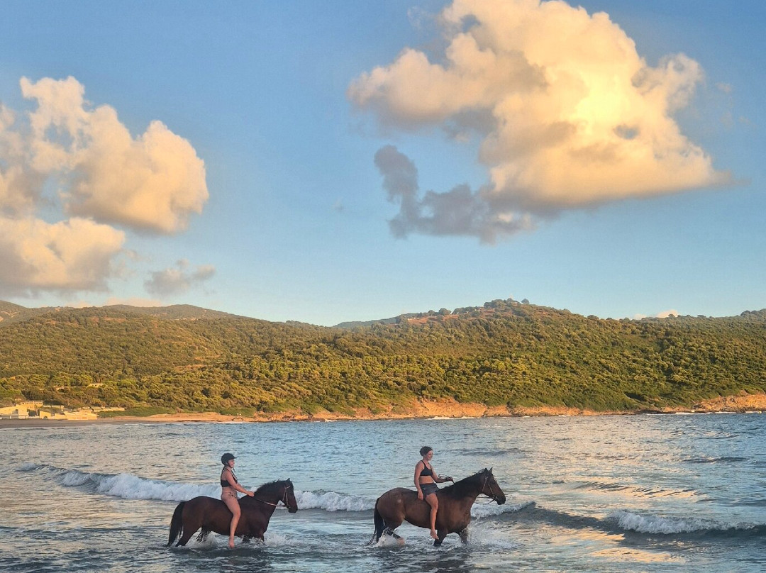 Ranch Cargese-Cargese必去景点