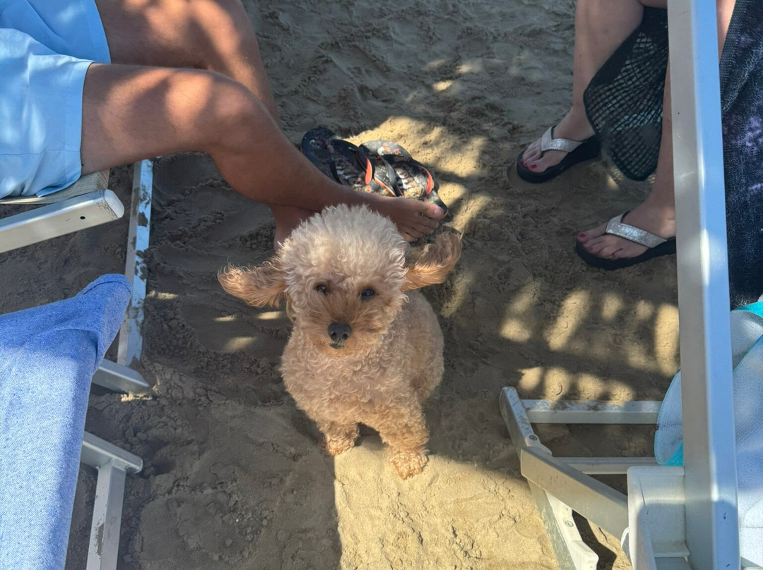 Lido Sabbia D'Oro - Bau Miao Beach-Francavilla Al Mare必去景点