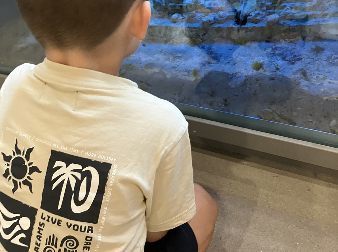 Museum Bevrijdende Vleugels-Best必去景点