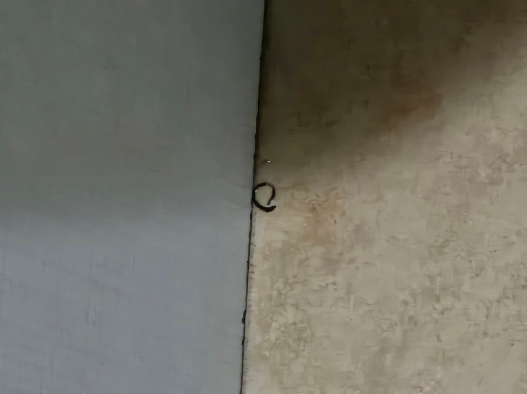 Sebay Surf Central主图