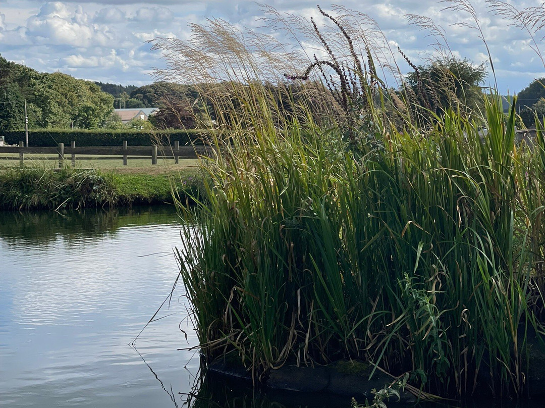 Foxholes Lake-Tansley必去景点